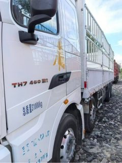 Sinotruk HOWO T7H 460 hp 8X4 9.5 m - ფოტო 4