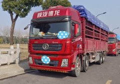 Shacman Delong X3000 350 hp 8X4 9.6 m - ფოტო 1