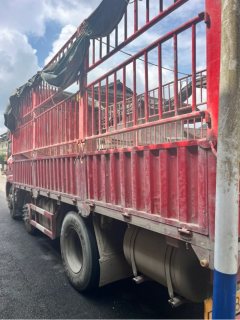 Dongfeng Changxing 260 hp 6X2 6.2 m - photo 3