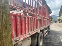 Dongfeng Changxing 260 hp 6X2 6.2 m - photo 4