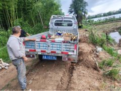 DFSK C32S 122 hp 4X2 2.51 m - photo 2