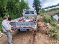 DFSK C32S 122 hp 4X2 2.51 m - photo 3