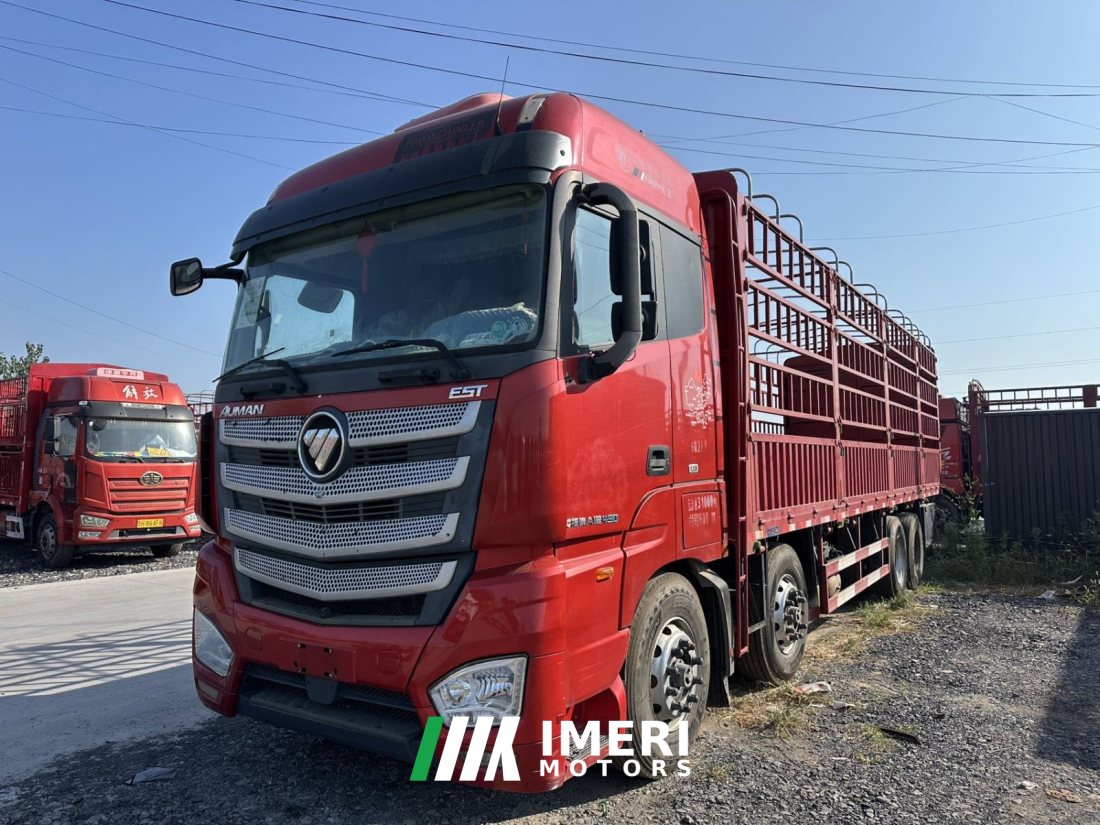 Foton Auman EST 490 hp 8X4 9.56 m - грузовик из Китая