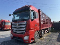 Foton Auman EST 490 hp 8X4 9.56 m - фото 1
