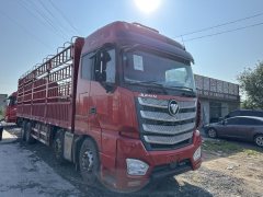 Foton Auman EST 490 hp 8X4 9.56 m - фото 3