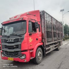 JAC Gallop Gelfa A5 220 hp 4X2 6.8 m - ფოტო 3
