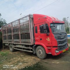 JAC Gallop Gelfa A5 220 hp 4X2 6.8 m - ფოტო 2