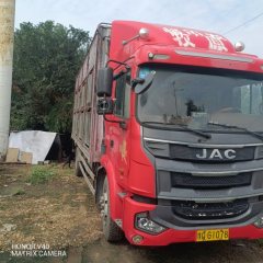 JAC Gallop Gelfa A5 220 hp 4X2 6.8 m - ფოტო 3