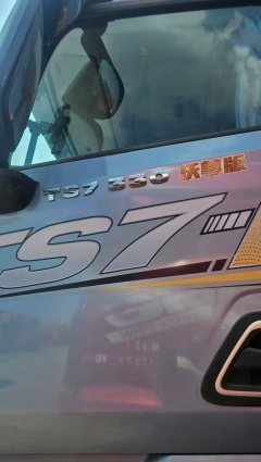Sinotruk HOWO TS7 290 hp 4X2 9.55 m - ფოტო 2