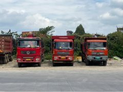 Dongfeng Tianjin 310 hp 8X4 6.8 m - ფოტო 1