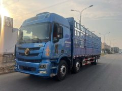 Foton Auman GTL 280 hp 6X2 9.45 m - ფოტო 1