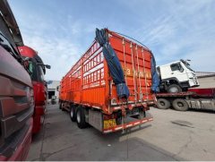 Sinotruk Sitrak G7 480 hp 8X4 9.6 m - photo 4