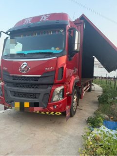 Dongfeng Liuzhou Chenglong H5 245 hp 4X2 9.7 m - фото 1