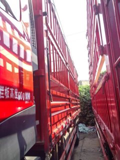 Dongfeng Tianjin KR PLUS 290 hp 4X2 6.8 m - ფოტო 4