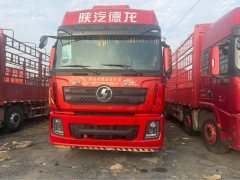Shacman Delong X3000 460 hp 8X4 9.5 m - photo 2