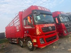 Shacman Delong X3000 460 hp 8X4 9.5 m - photo 3