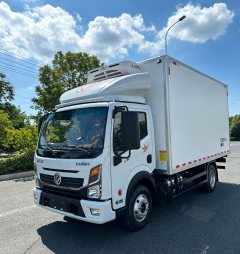 Dongfeng Duolika Dollicar D6 195 hp 4X2 4.1 m - ფოტო 1