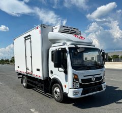 Dongfeng Duolika Dollicar D6 195 hp 4X2 4.1 m - ფოტო 3
