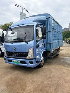 Lanqing EH 4.18 m - ფოტო 1