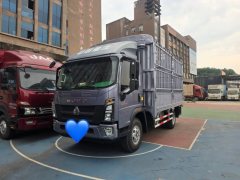 SINOTRUK HOWO Light Duty Truck Commander 160 hp 4X2 4.15 m - ფოტო 1