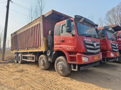 Foton Auman ETX 400 hp 8X4 8 m - фото 2