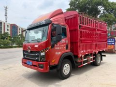 Dayun Xianglong 170 hp 4X2 4.2 m - ფოტო 1