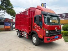 Dayun Xianglong 170 hp 4X2 4.2 m - ფოტო 2