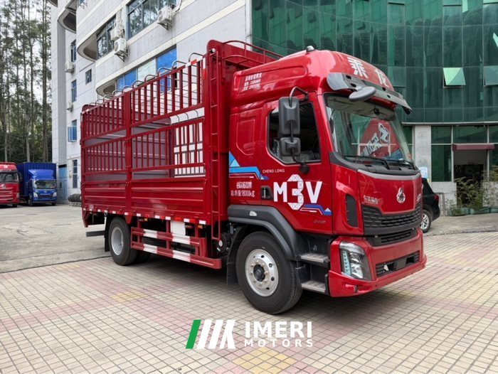 Dongfeng Liuzhou Chenglong M3V 240 hp 4X2 5.2 m - სატვირთო ჩინეთიდან