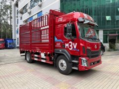 Dongfeng Liuzhou Chenglong M3V 240 hp 4X2 5.2 m - ფოტო 1