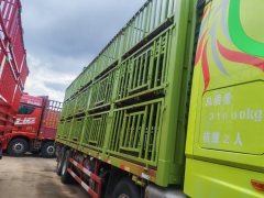 Dongfeng Celestial Flagship KX 465 hp 8X4 9.6 m - ფოტო 5
