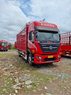 Dongfeng Tianjin KR 290 hp 4X2 6.8 m - ფოტო 2