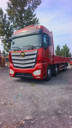 Foton Auman EST 490 hp 8X4 9.53 m - ფოტო 1