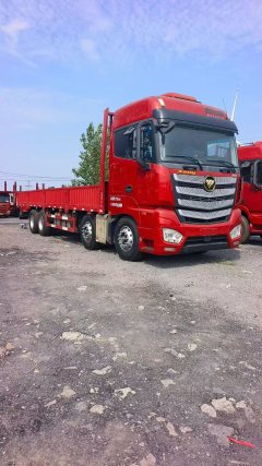 Foton Auman EST 490 hp 8X4 9.53 m - ფოტო 7