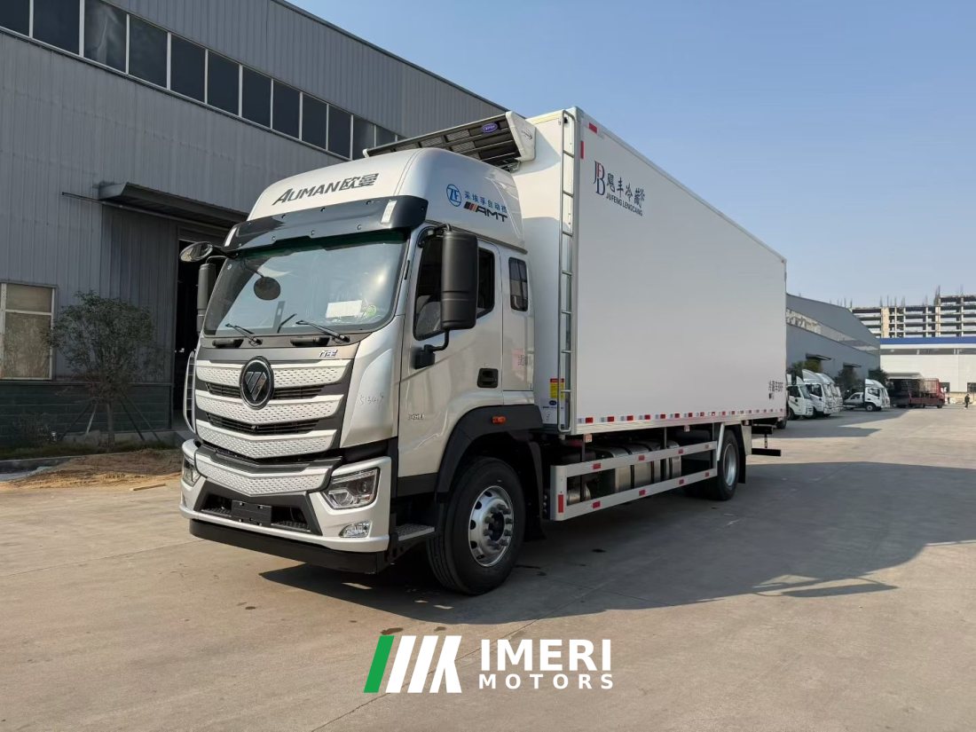 Foton Auman 330 hp 4X2 6.8 m - სატვირთო ჩინეთიდან