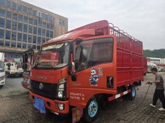 SINOTRUK HOWO Light Duty Truck Commander 160 hp 4X2 - ფოტო 1