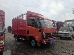SINOTRUK HOWO Light Duty Truck Commander 160 hp 4X2 - ფოტო 2