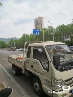 Foton Forland Star Truck 2 112 hp 4X2 2.93 m - фото 2