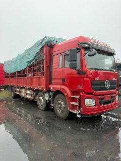 Shacman Delong New M3000 300 hp 6X2 9.55 m - ფოტო 2