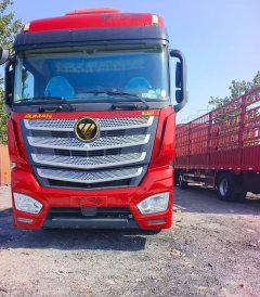 Foton Auman EST 490 hp 8X4 9.53 m - ფოტო 6