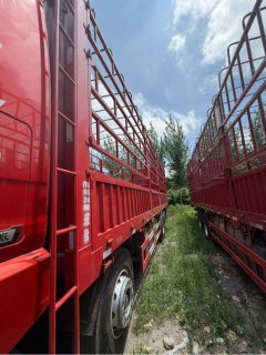 FAW Jiefang JH6 460 hp 8X4 9.4 m - ფოტო 8