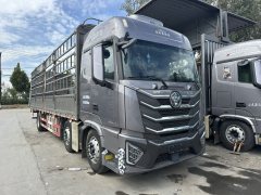 Foton Auman GTL Xingyi Edition 360 hp 6X2 9.56 m - ფოტო 3