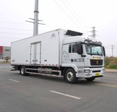 Sinotruk Sitrak G5S 330 hp 4X2 9.45 m - фото 2