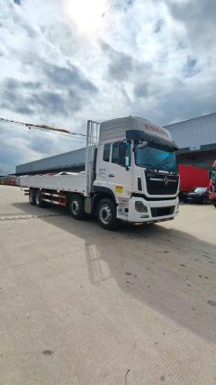 Dongfeng Tianlong VL 450 hp 8X4 9.4 m - ფოტო 2
