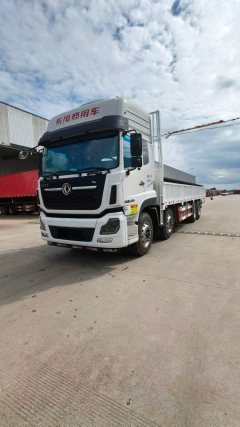 Dongfeng Tianlong VL 450 hp 8X4 9.4 m - ფოტო 5