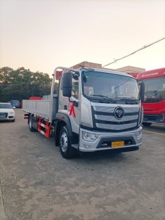 Foton R 240 hp 4X2 6.8 m - ფოტო 3