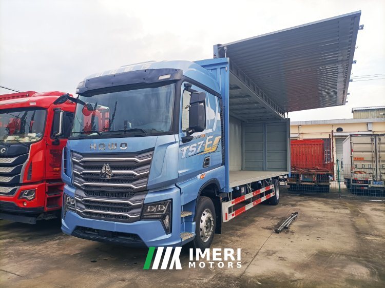 Sinotruk HOWO TS7 290 hp 4X2 9.7 m - სატვირთო ჩინეთიდან