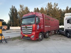 Foton Auman EST 360 hp 6X2 9.56 m - ფოტო 1