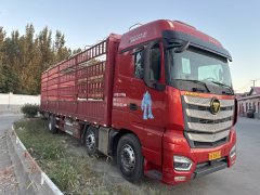 Foton Auman EST 360 hp 6X2 9.56 m - ფოტო 3
