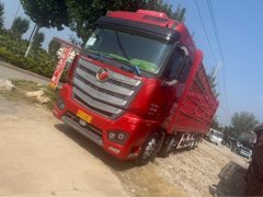 Foton Auman EST 470 hp 8X4 9.56 m - ფოტო 1