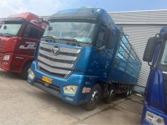 Foton Auman EST 490 hp 8X4 9.56 m - ფოტო 1